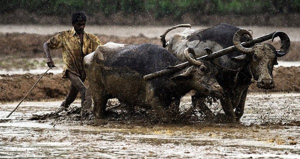 ‘Cày hùng hục, làm việc không nghỉ tết’ để tăng năng suất? Nhầm to, ngay cả Bill Gates, Tim Cook,… cũng muốn nhân viên mình nghỉ ngơi