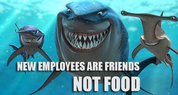 Vì sao người Việt thích nói xấu đồng nghiệp, cô lập nhân viên mới và chê sinh viên mới ra trường là “bọn chỉ có lý thuyết suông”?