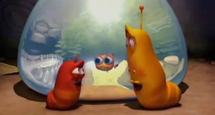 Ấu trùng Larva – Lacquario