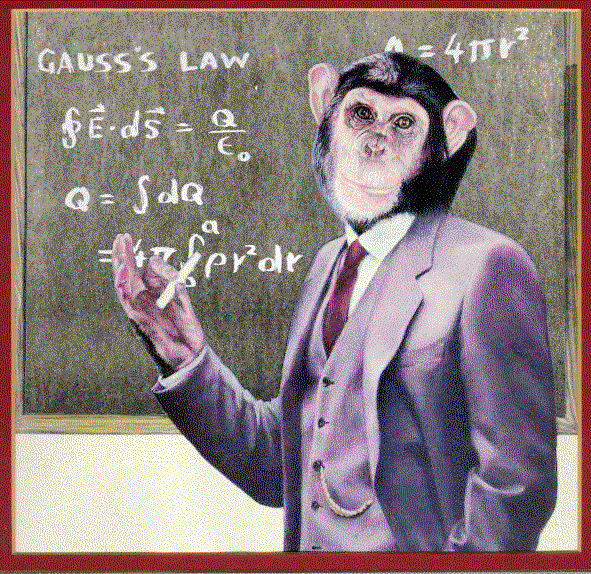 Nếu bạn đãi ngộ nhân viên bằng “hạt dẻ”, chỉ có khỉ mới đồng ý làm việc cho bạn!