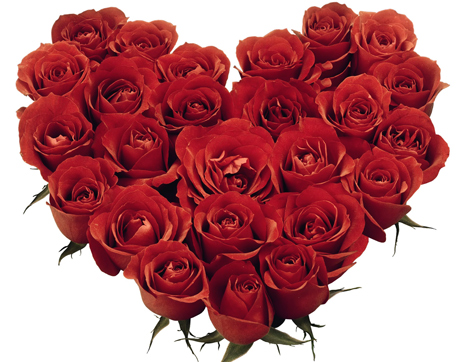 Hạnh phúc ngắn ngủi