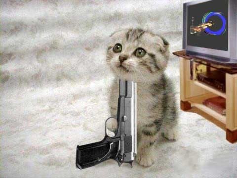 Animal Funny – Clip hài về động vật bạn chưa từng xem