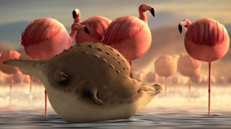 Clip dành cho người béo phì