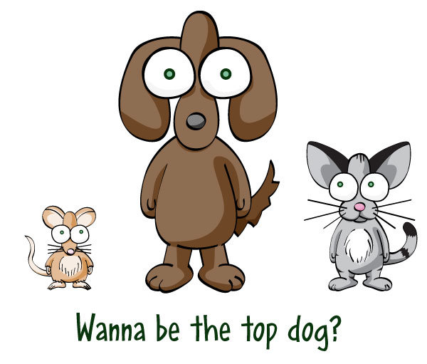 Chuyện tình Cún và Miu