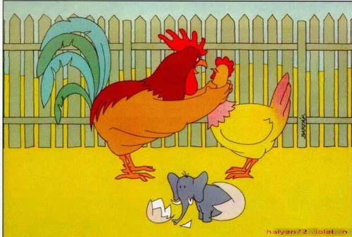 Nhưng nó không thôi thưa cô