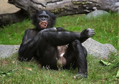 Những khoảnh khắc hài hước nhất tháng 3 – phần 2