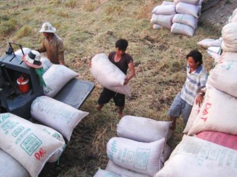 Trung Quốc tạo sức ép: Doanh nghiệp Việt “há miệng mắc quai”!