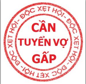 Dân IT tuyển vợ