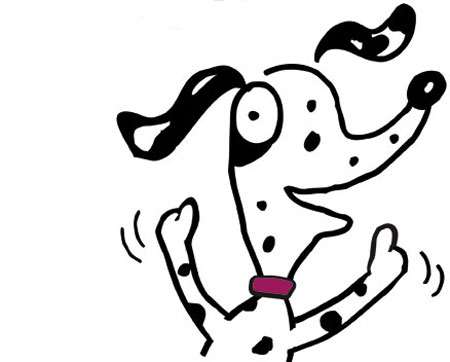 Chú chó thích nghe nhạc chuông